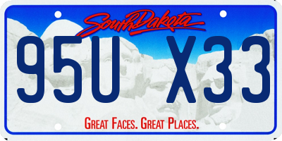 SD license plate 95UX33