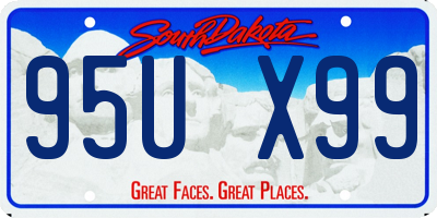 SD license plate 95UX99