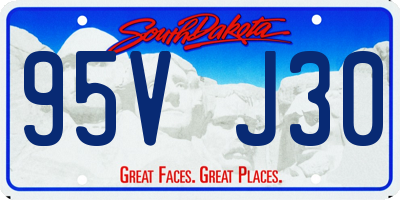 SD license plate 95VJ30
