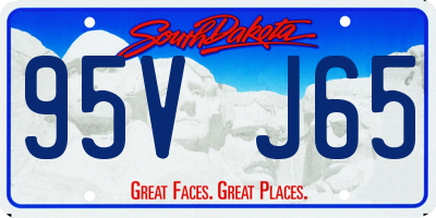 SD license plate 95VJ65