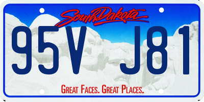 SD license plate 95VJ81