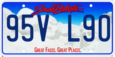 SD license plate 95VL90