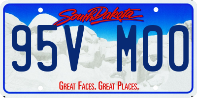 SD license plate 95VM00