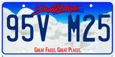 SD license plate 95VM25