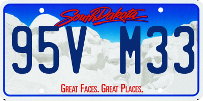 SD license plate 95VM33
