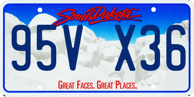 SD license plate 95VX36