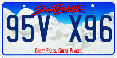 SD license plate 95VX96
