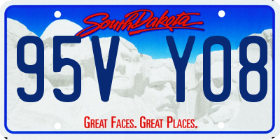 SD license plate 95VY08