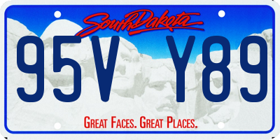 SD license plate 95VY89