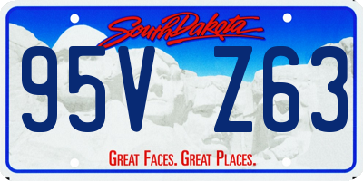 SD license plate 95VZ63