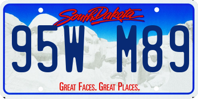 SD license plate 95WM89