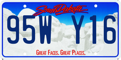 SD license plate 95WY16