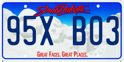 SD license plate 95XB03
