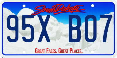 SD license plate 95XB07