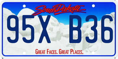 SD license plate 95XB36