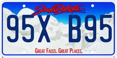 SD license plate 95XB95