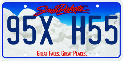 SD license plate 95XH55
