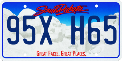 SD license plate 95XH65