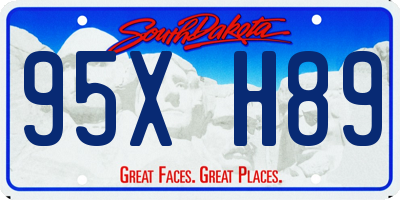 SD license plate 95XH89