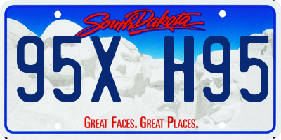 SD license plate 95XH95