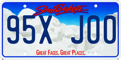 SD license plate 95XJ00