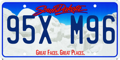 SD license plate 95XM96
