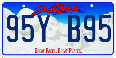SD license plate 95YB95