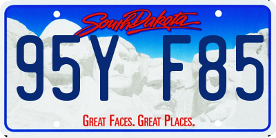 SD license plate 95YF85