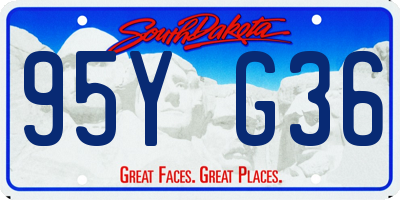 SD license plate 95YG36