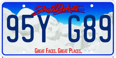 SD license plate 95YG89