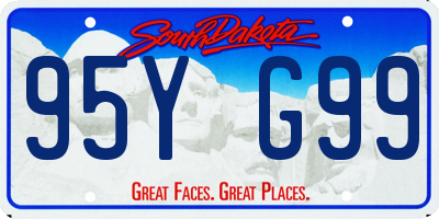 SD license plate 95YG99