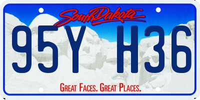 SD license plate 95YH36