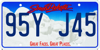 SD license plate 95YJ45