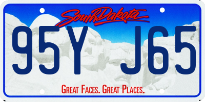 SD license plate 95YJ65