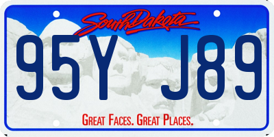 SD license plate 95YJ89