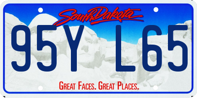 SD license plate 95YL65