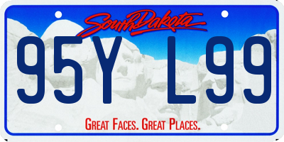 SD license plate 95YL99