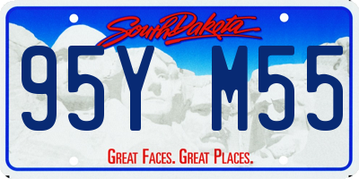 SD license plate 95YM55
