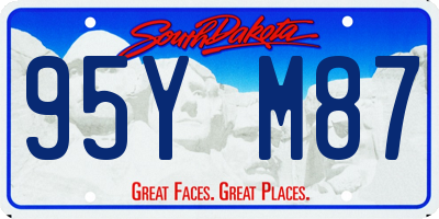 SD license plate 95YM87