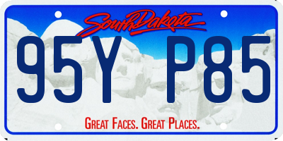 SD license plate 95YP85