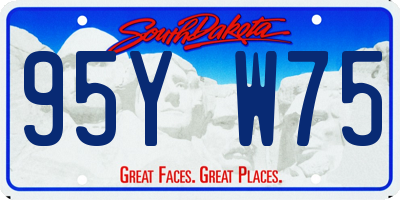 SD license plate 95YW75