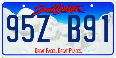 SD license plate 95ZB91