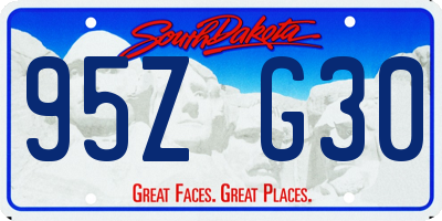 SD license plate 95ZG30