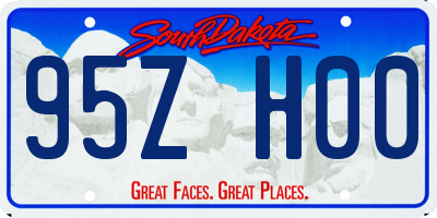 SD license plate 95ZH00