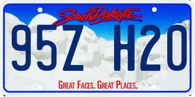 SD license plate 95ZH20