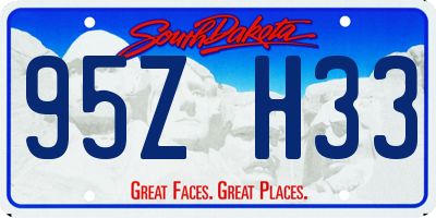 SD license plate 95ZH33