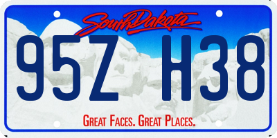 SD license plate 95ZH38