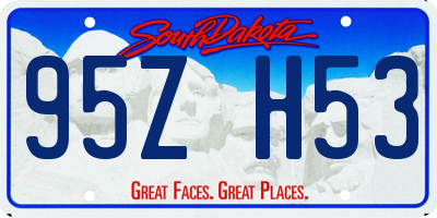 SD license plate 95ZH53