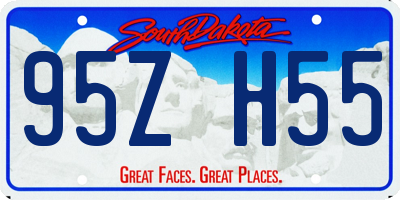 SD license plate 95ZH55