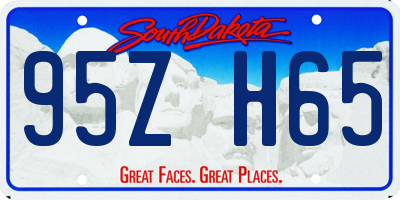 SD license plate 95ZH65